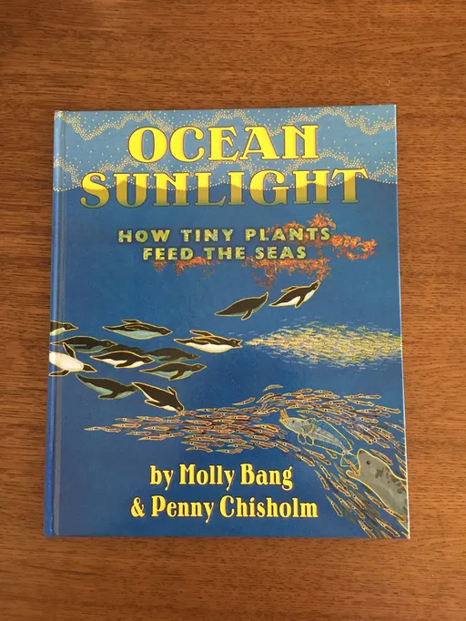 Ocean Light:How Tiny Plants Feed The Seas
