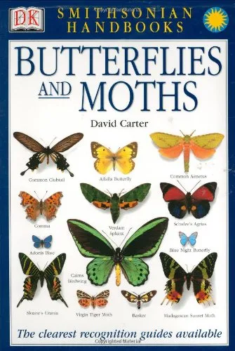 Butterflies & Moths