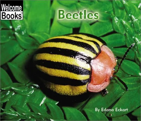 Beetles