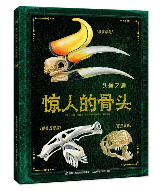 惊人的骨头：头骨之谜