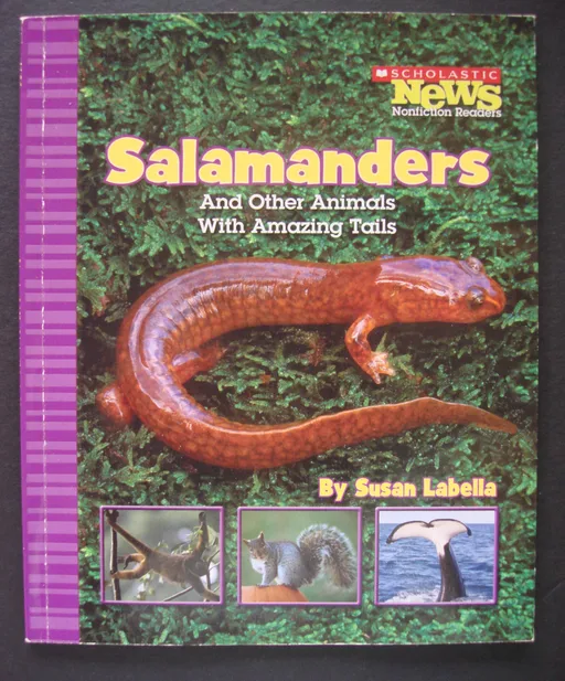 Salamanders and Other Animals With Amazing Tails