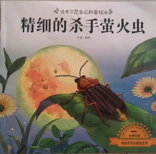 精细的杀手萤火虫
