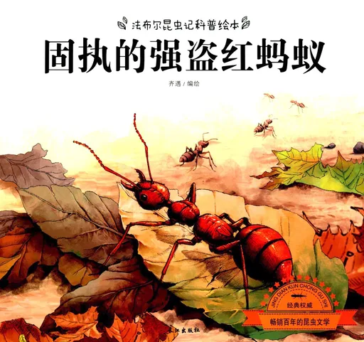 远征的强盗红蚂蚁