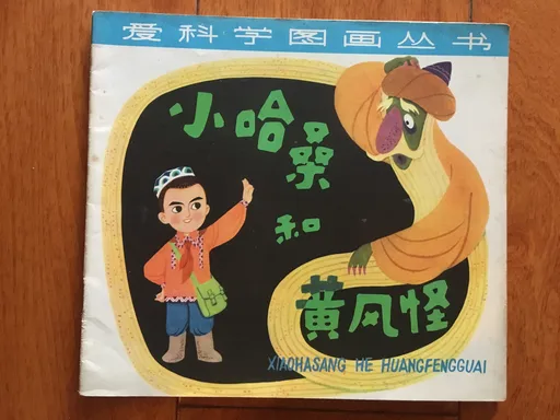 小哈桑和黄风怪