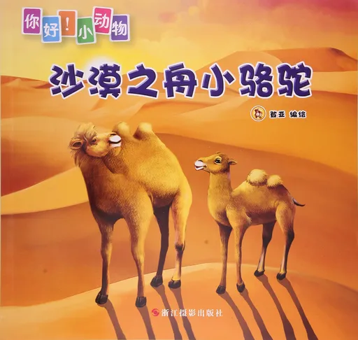 沙漠之舟小骆驼