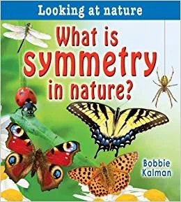 What is Symmetry in Nature?