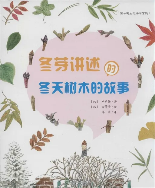 冬芽讲述的冬天树木的故事