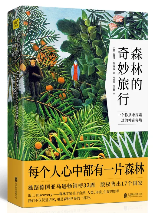 森林的奇妙旅行