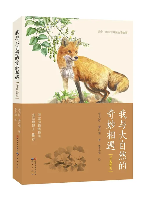 我与大自然的奇妙相遇：寻觅兽类