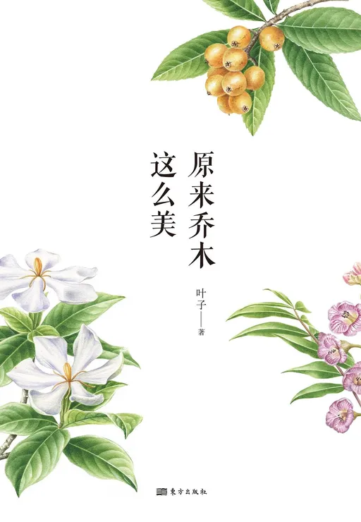 原来乔木这么美