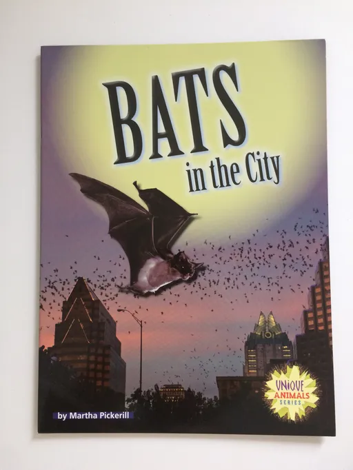 Bats in the City