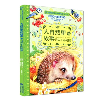 大自然里的故事 月光下的刺猬