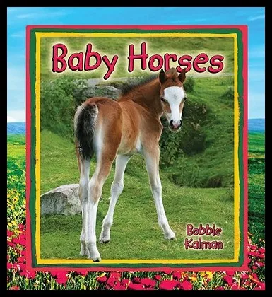 Baby Horses
