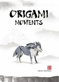 Origami Moments