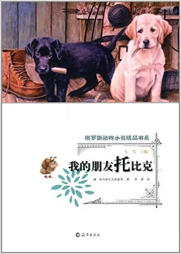 我的朋友托比克