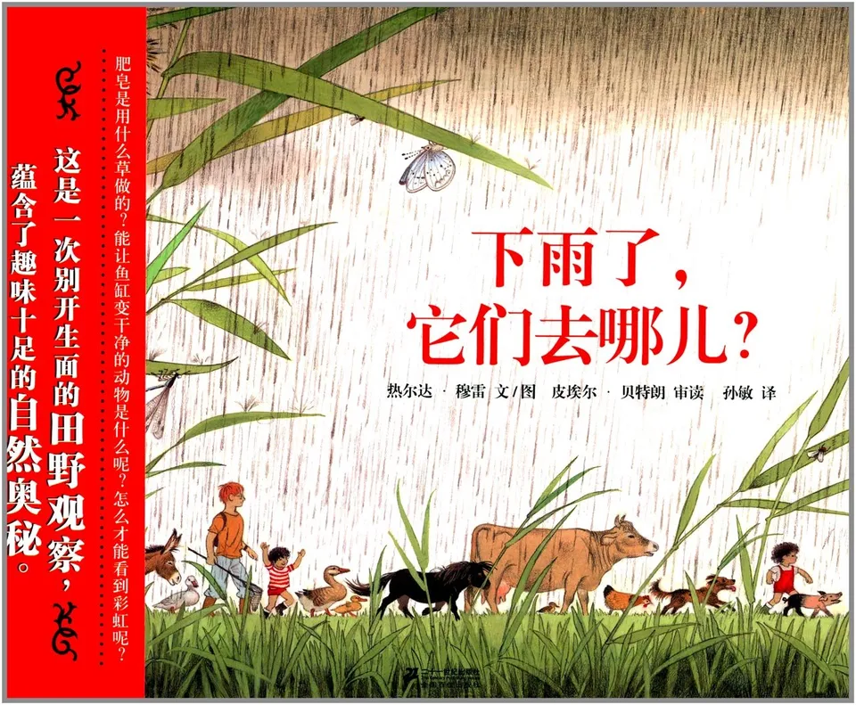 下雨了，它们去哪儿?