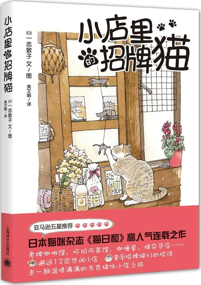 小店里的招牌猫