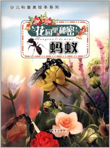 花园里的秘密:蚂蚁