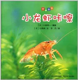 小龙虾咔嚓
