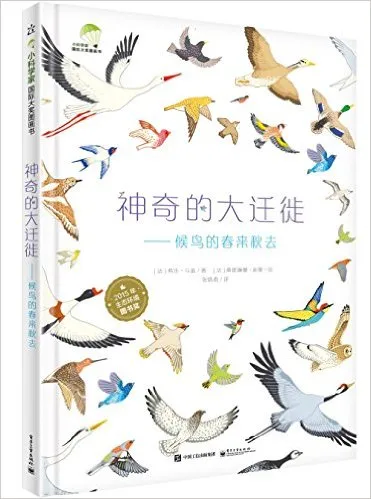 神奇的大迁徙:候鸟的春来秋去