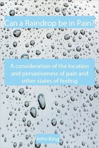 Can a Raindrop be in Pain?: A Consideration of the Location & Pervasiveness of Pain and Other States