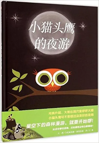 小猫头鹰的夜游