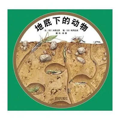 地底下的动物
