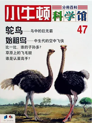 小牛顿科学馆47 鸵鸟、始祖鸟