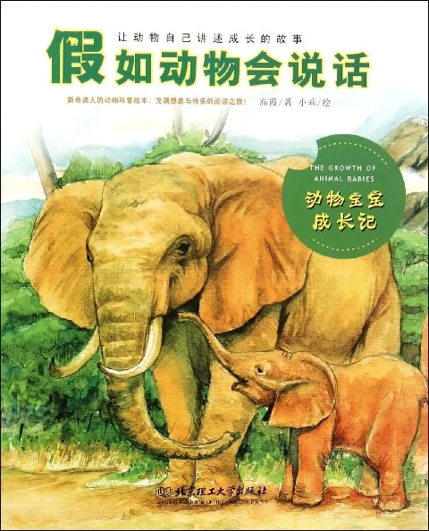 动物宝宝成长记