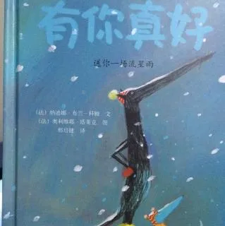 送你一场流星雨