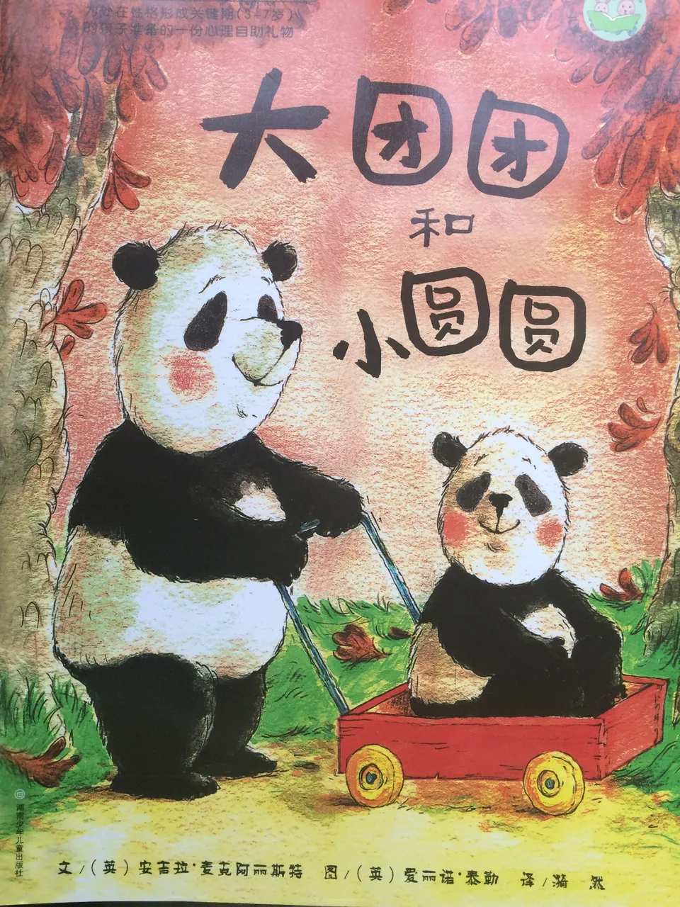 大团团和小圆圆