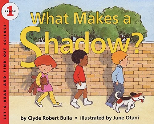 What Makes a Shadow?