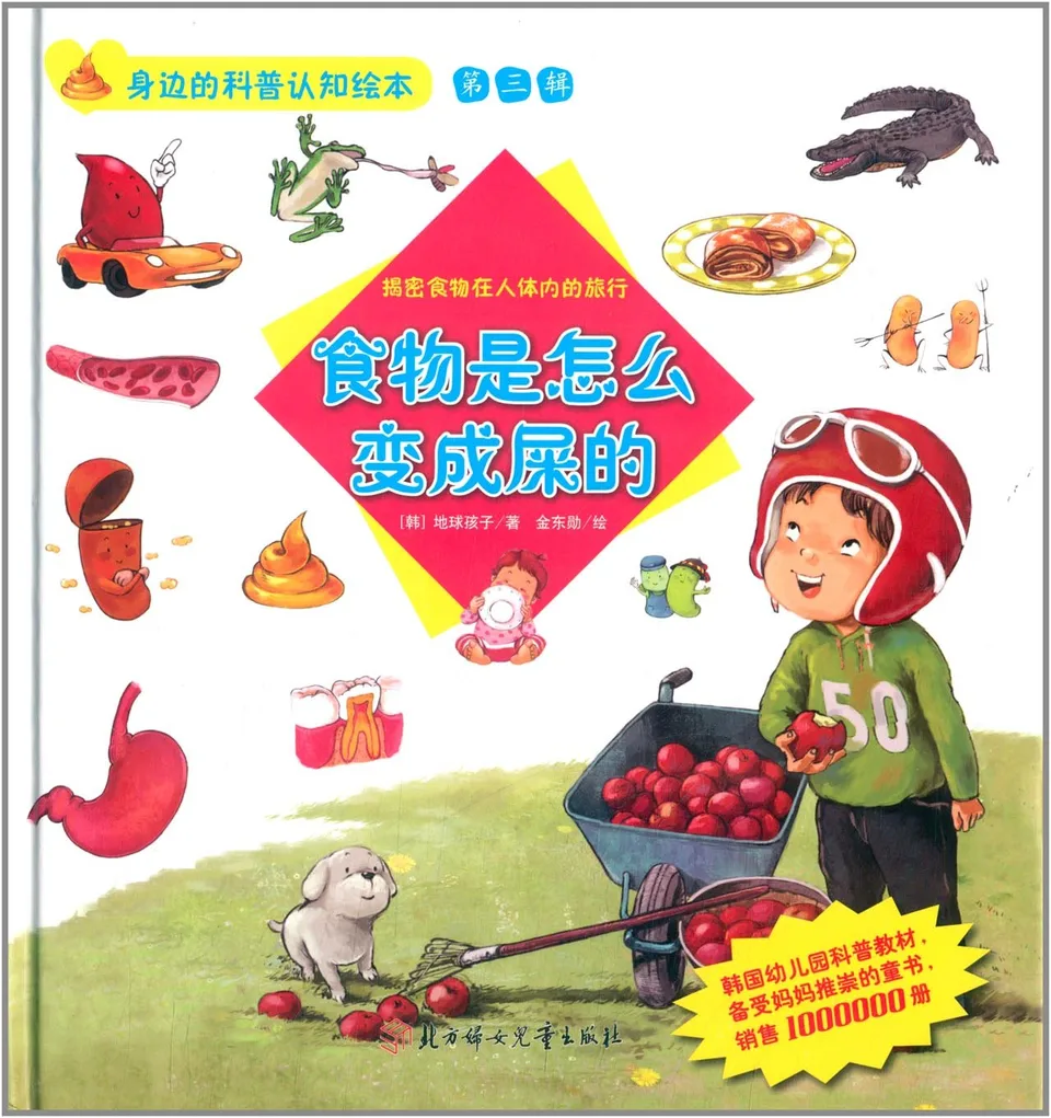 食物是怎么变成屎的