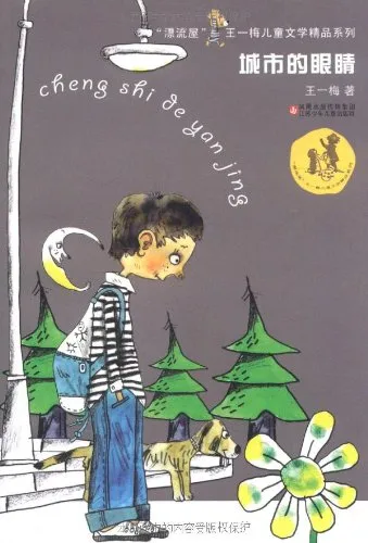 城市的眼睛