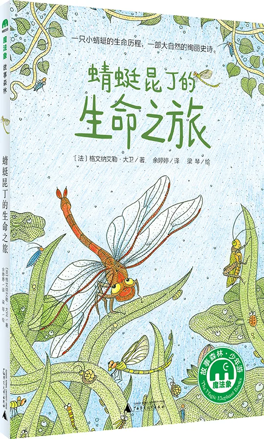 蜻蜓昆丁的生命之旅