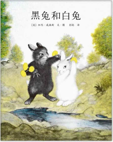 黑兔和白兔