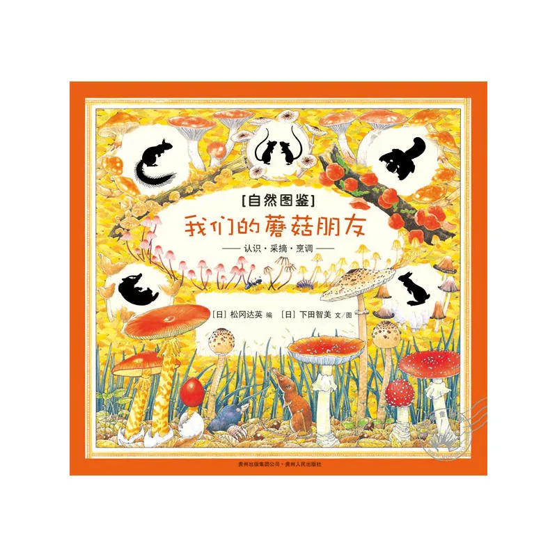我们的蘑菇朋友