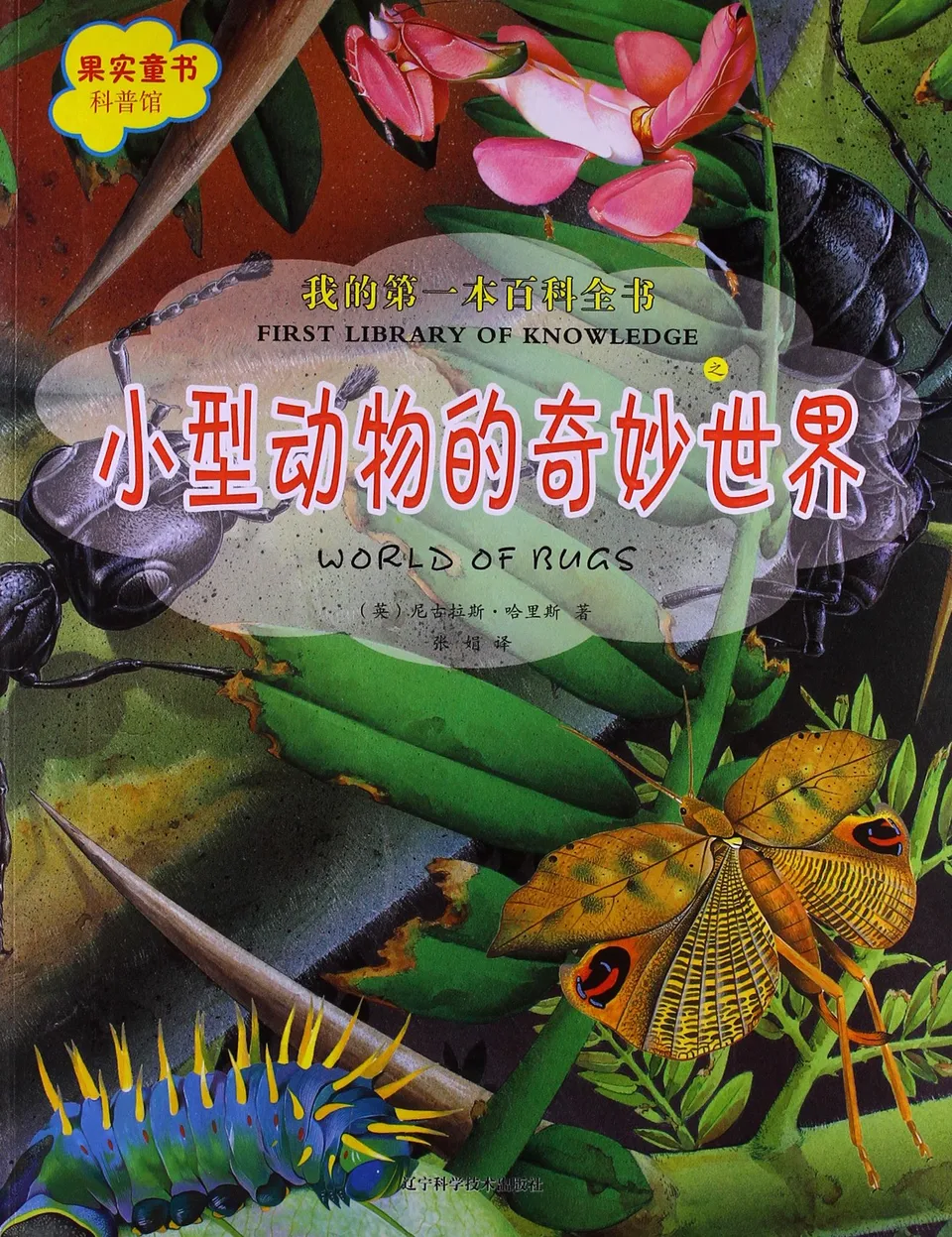 小型动物的奇妙世界