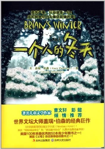 一个人的冬天：手斧男孩