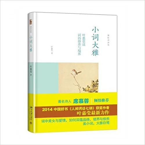 小词大雅