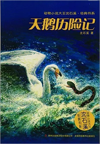 天鹅历险记