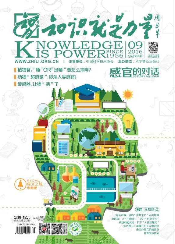 526知识就是力量