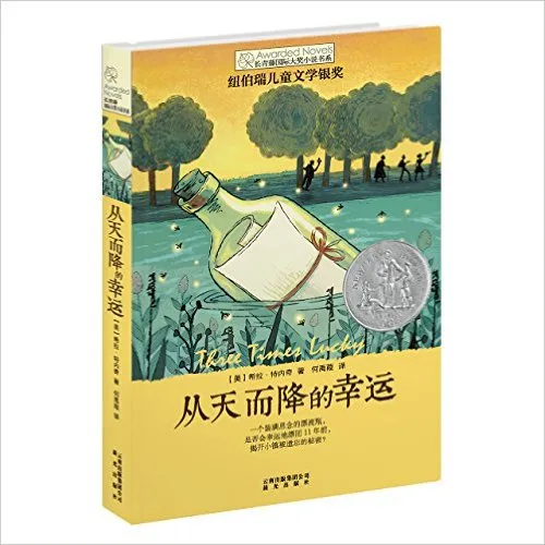 从天而降的幸运