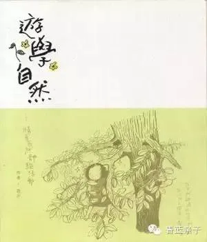遊學自然
