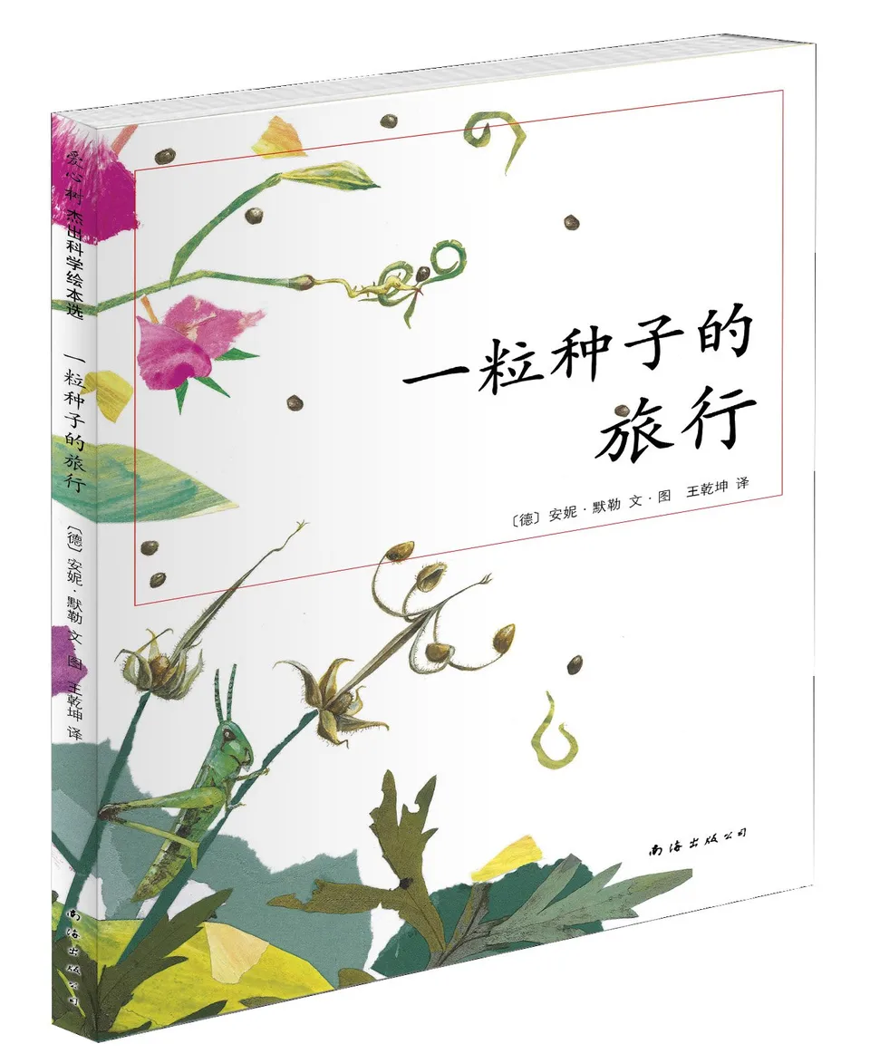 一颗种子的旅行