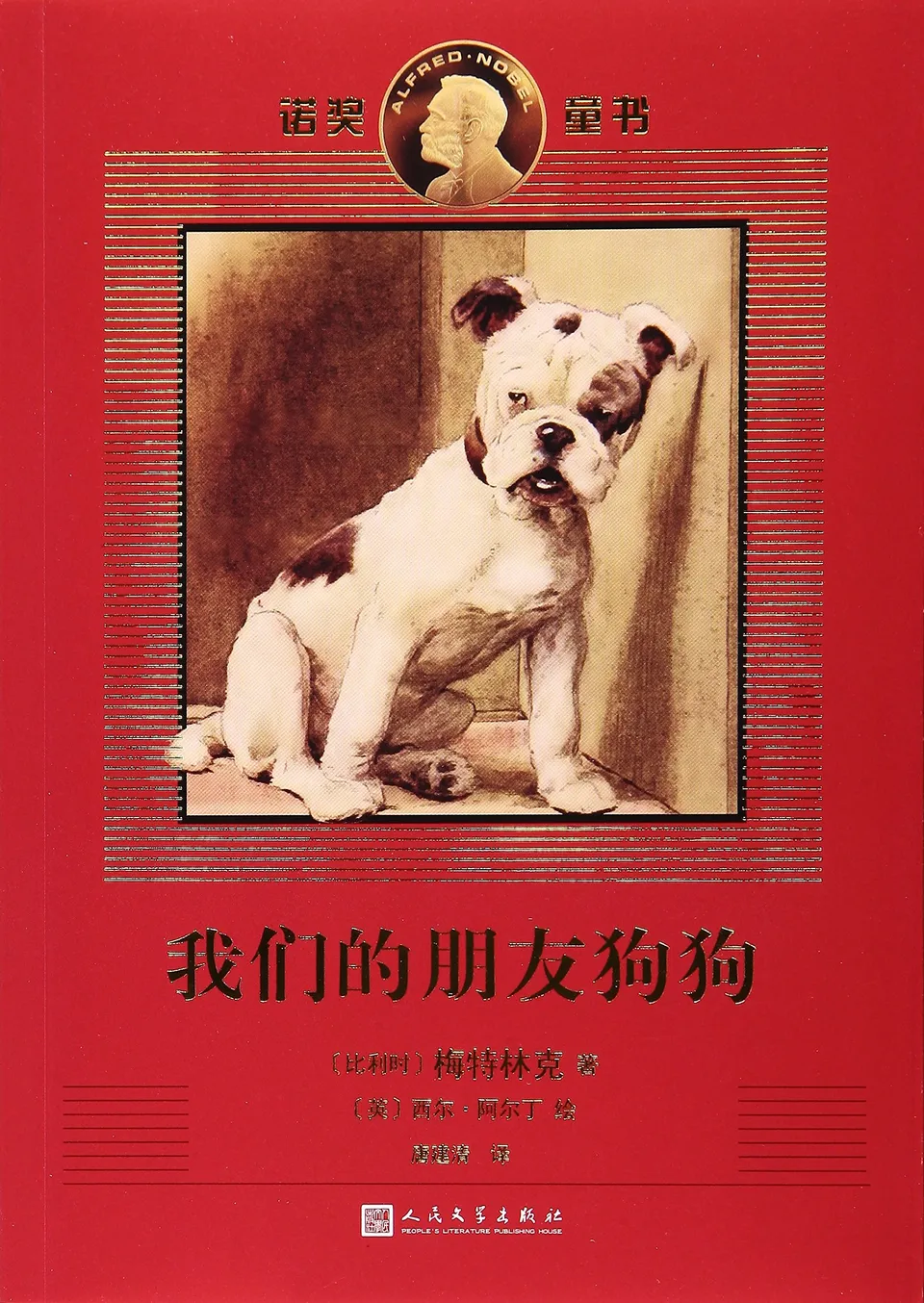 我们的朋友狗狗