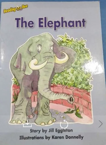The Elephant