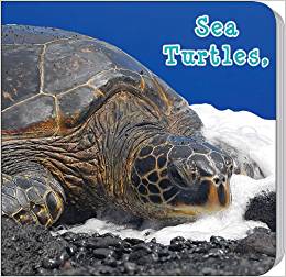 Sea Turtles