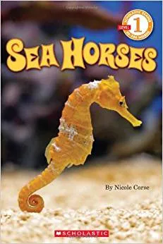 Sea Horses