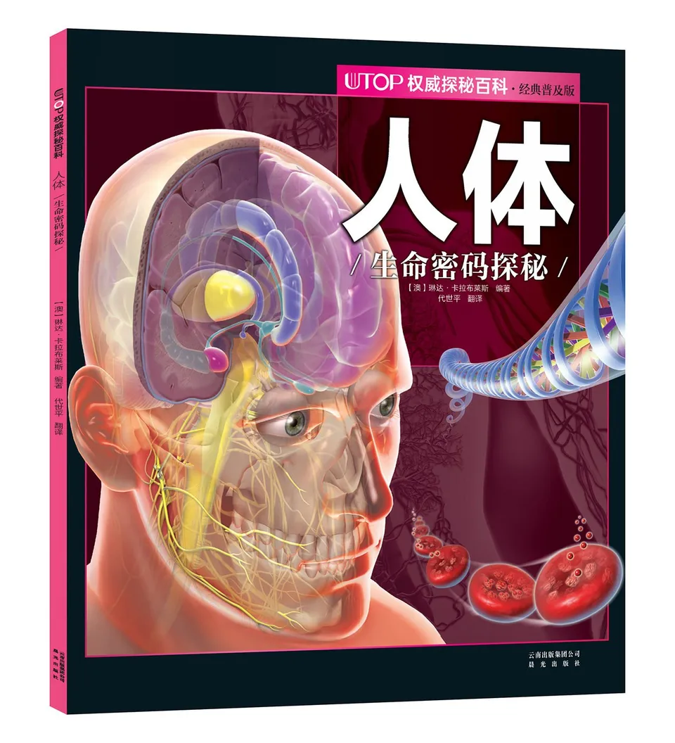 人体：生命密码探秘